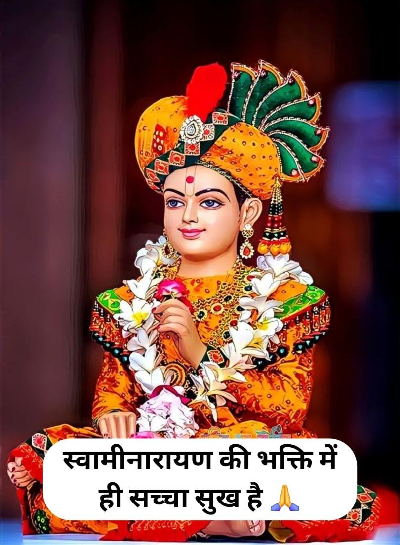 Swaminarayan Instagram Bio in Hindi