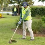 Signs Your Landscaping Needs Professional Attention