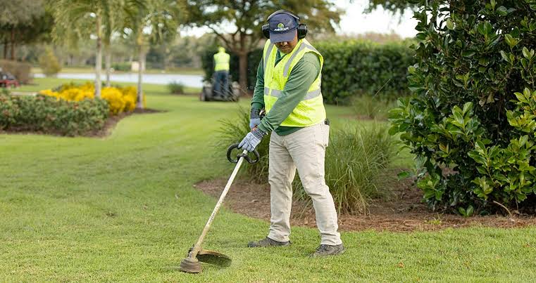 Signs Your Landscaping Needs Professional Attention